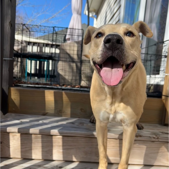 Meet your Posher, Stef๐ - Picture 4 of 11